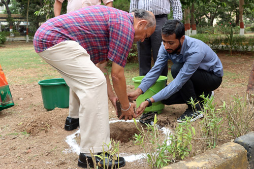 Environment Day celebration